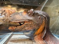 Western Science Center photo 5