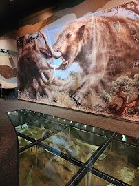 Western Science Center photo 6