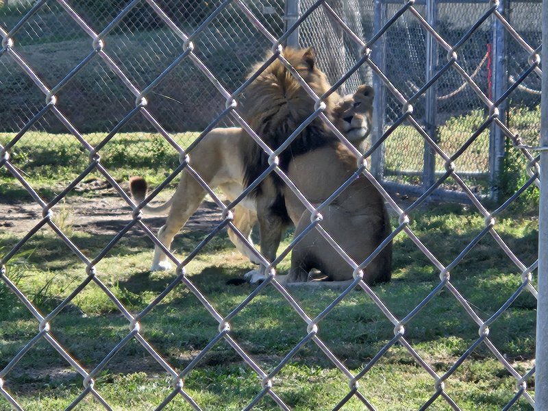 Friends of Lee Richardson Zoo photo 2