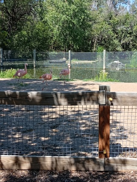 Friends of Lee Richardson Zoo photo 4