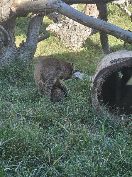 Friends of Lee Richardson Zoo photo 5