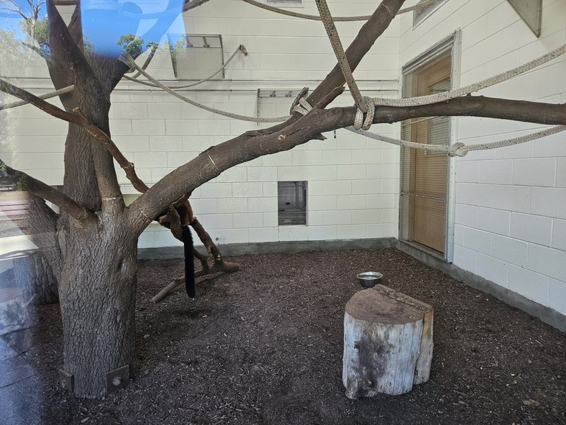 Friends of Lee Richardson Zoo photo 6