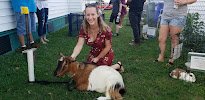 Beach Party Ponies & Barnyard Petting Zoo photo 2