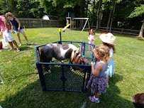 Beach Party Ponies & Barnyard Petting Zoo photo 3