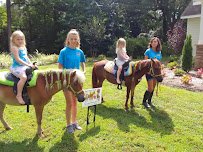 Beach Party Ponies & Barnyard Petting Zoo photo 4