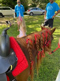 Beach Party Ponies & Barnyard Petting Zoo photo 5