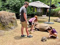 Clayton Family Kids Cove photo 3