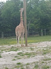 Clayton Family Kids Cove photo 4