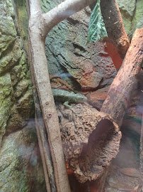 Clayton Family Kids Cove photo 5