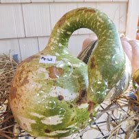 Trombetta's Farm photo 2