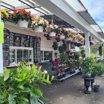 Trombetta's Farm photo 6