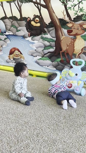 Kiddie Jungle photo 2