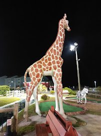 River Country Mini Golf photo 4