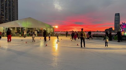 The Rink at Brookfield Place with Gregory & Petukhov photo 2