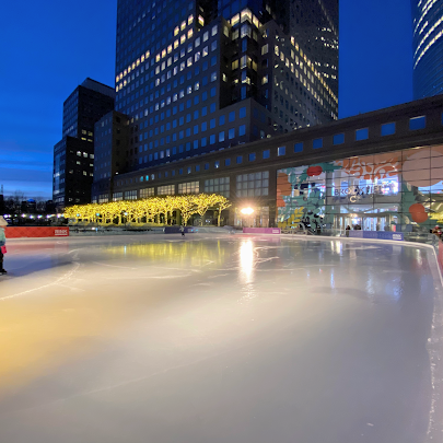 The Rink at Brookfield Place with Gregory & Petukhov photo 6