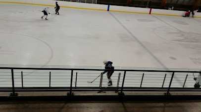 The Rinks - Anaheim ICE photo 2