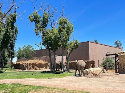Giraffe Feeding photo 6