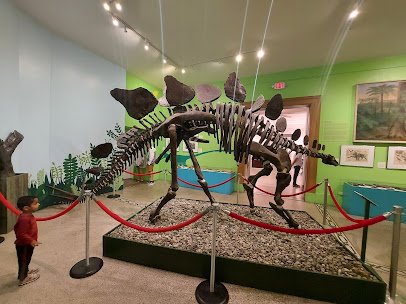 Everhart Museum photo 4