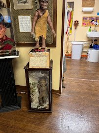 House of Oddities and Curious Goods photo 6