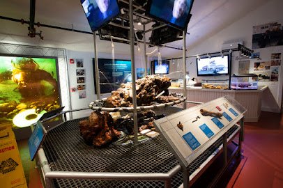 Whydah Pirate Museum photo 4