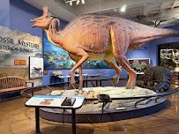 San Diego Natural History Museum