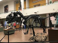 San Diego Natural History Museum photo 4