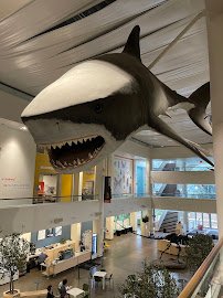 San Diego Natural History Museum photo 6