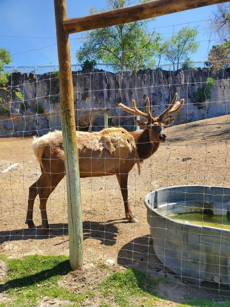 Zoo Idaho photo 6