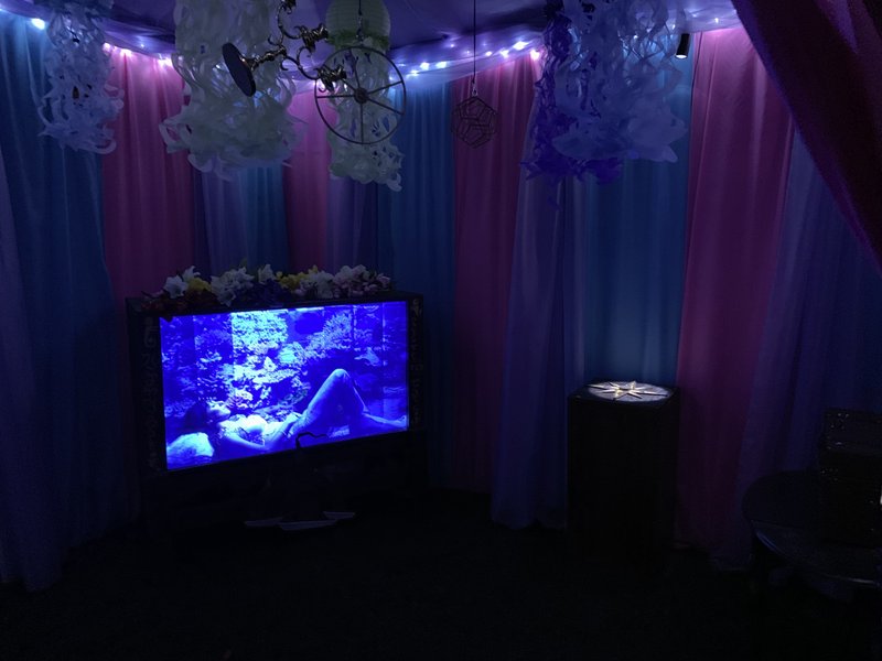 Trap Door Escape Room Team Building | Morristown, NJ photo 2