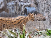 Erie Zoo photo 6