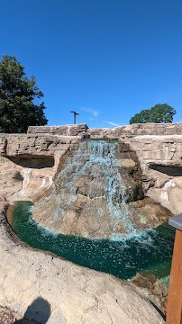 Markie's Mini Golf photo 2