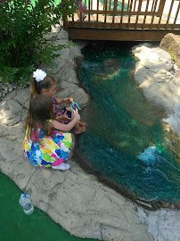 Markie's Mini Golf photo 6