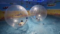 Bounce Bounce photo 3