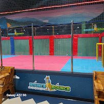 Bounce Bounce photo 4