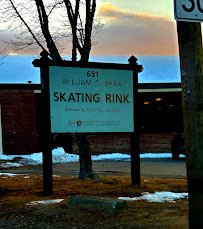 Shea Memorial Rink photo 4