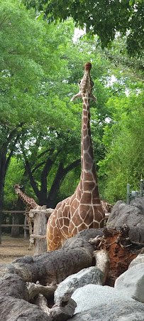Petting Barn at Fort Worth Zoo photo 2