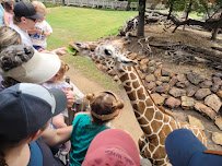 Petting Barn at Fort Worth Zoo photo 3