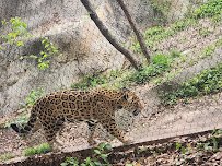 Petting Barn at Fort Worth Zoo photo 5