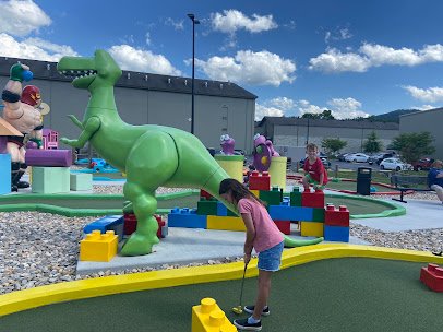 Toy Box Mini Golf photo 6