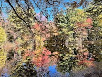 Pine Lake Adventure Park