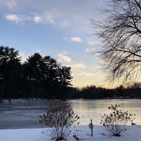 Pine Lake Adventure Park photo 4