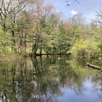 Pine Lake Adventure Park photo 5