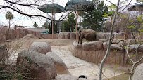 El Paso Zoo and Botanical Gardens photo 2