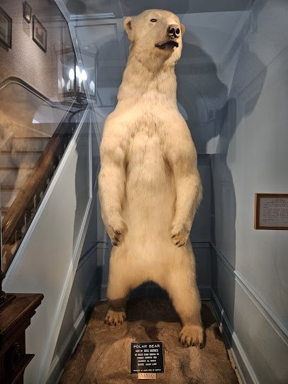 Woodman Museum photo 4