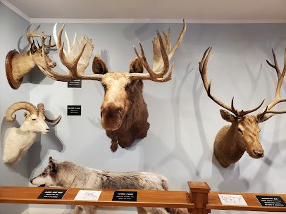 Woodman Museum photo 6