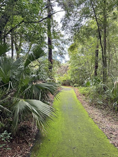 Tree Hill Nature Center photo 5
