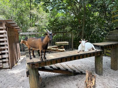 Tree Hill Nature Center photo 6