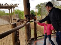 Grover Nelson Park photo 3