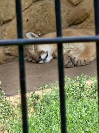 Grover Nelson Park photo 4