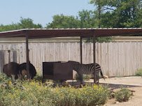 Grover Nelson Park photo 5